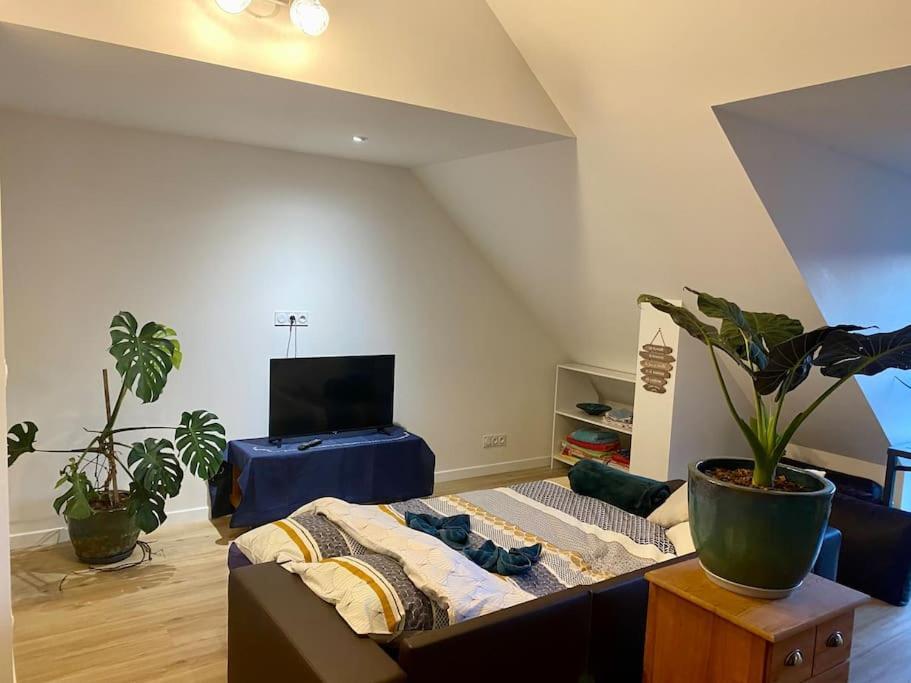 Les Sept Iles Apartment Баден Екстериор снимка